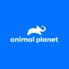 Animal Planet online Sledujte Animal Planet live v HD zadarmo | Sweet.tv