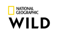 Nat Geo Wild HD