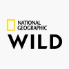 National Geographic Wild HD - SWEET.TV Sledovať National Geographic Wild HD online